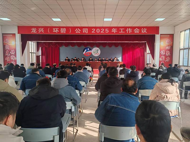 龙兴(九游j9(中国))公司召开2025年工作会议